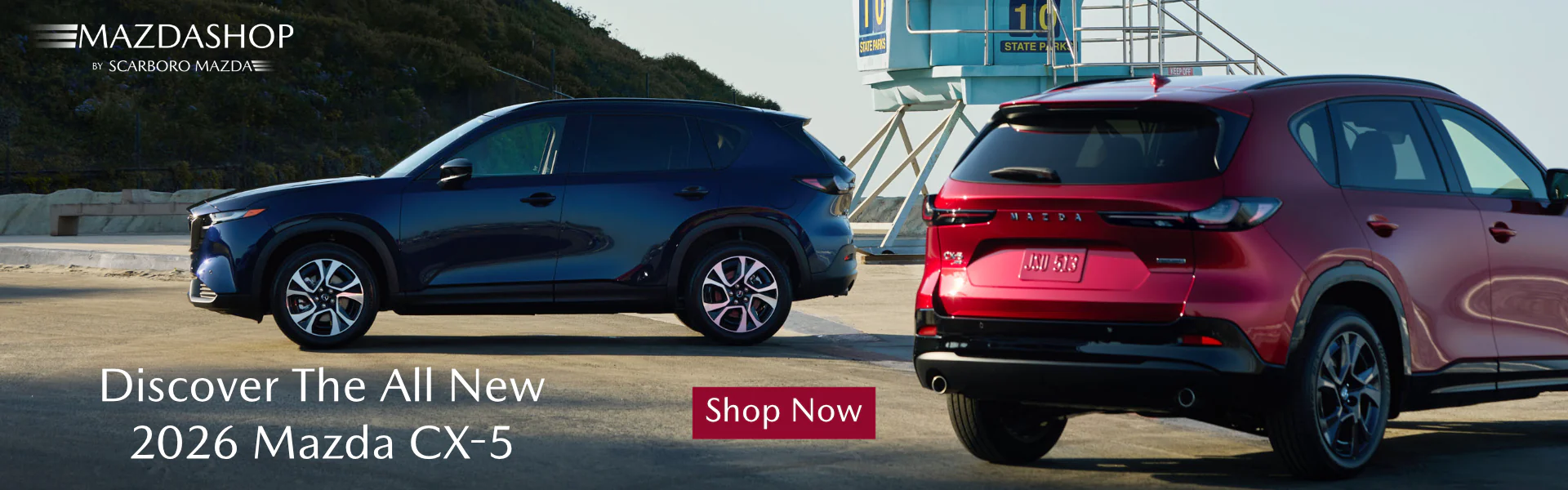 Welcome to Our Store